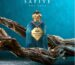 Safiye Perfume by Osmanli Oud – A luxurious unisex fragrance with floral, spicy, and musky notes.